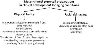 Cord Blood Stem Cells: Treasures in the Umbilical Cord