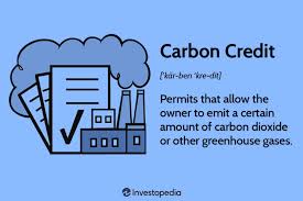 Environmental Impact Gas and Electricity's Carbon Footprint