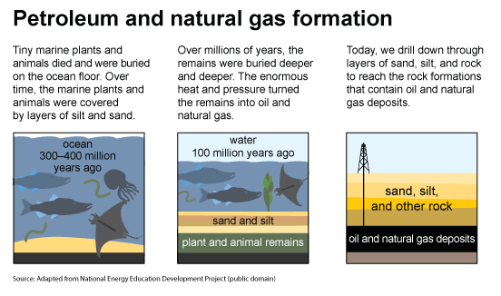 Making the Right Fuel Choice: Gasoline or Natural Gas