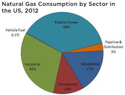 Safety Considerations: Gasoline and Natural Gas Fuels