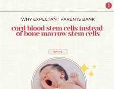 The Journey of Cord Blood From Birth to Medical Breakthroughs