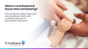 Unlocking the Potential: Cord Blood Stem Cells in Medicine